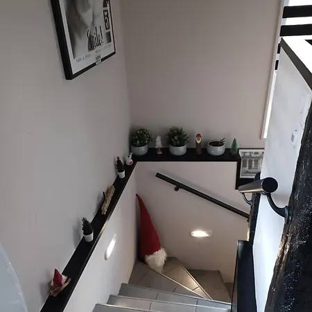 Le Nid De Birsa, 3 Etoiles, De Tres Bon Confort Boersch