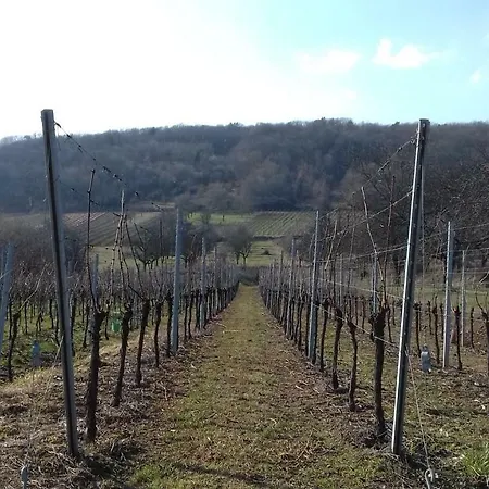 بيت للعطل Le Nid De Birsa, 3 Etoiles, De Tres Bon Confort *