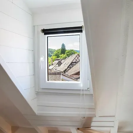 Le Nid De Birsa, 3 Etoiles, De Tres Bon Confort بيت للعطل Boersch