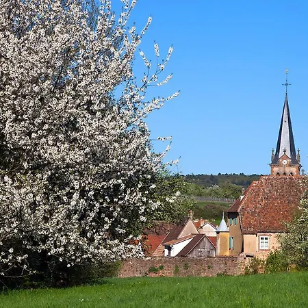 Le Nid De Birsa, 3 Etoiles, De Tres Bon Confort Boersch