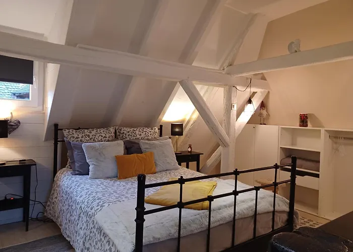 度假居 Le Nid De Birsa, 3 Etoiles, De Tres Bon Confort Boersch